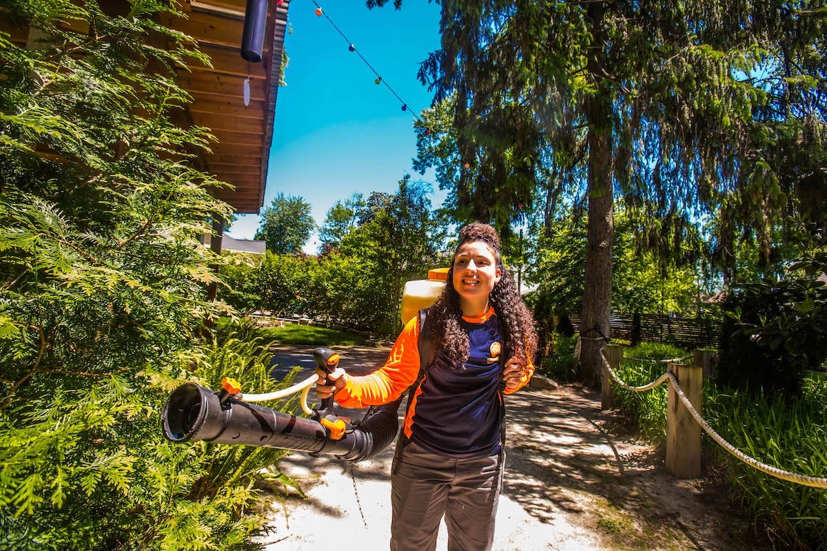 Are Mosquito Yard Treatments Safe for Pets? 3 Things to Know